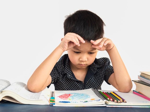 Home School Programs For Kindergarten 4 Home School Programs For Kindergarten