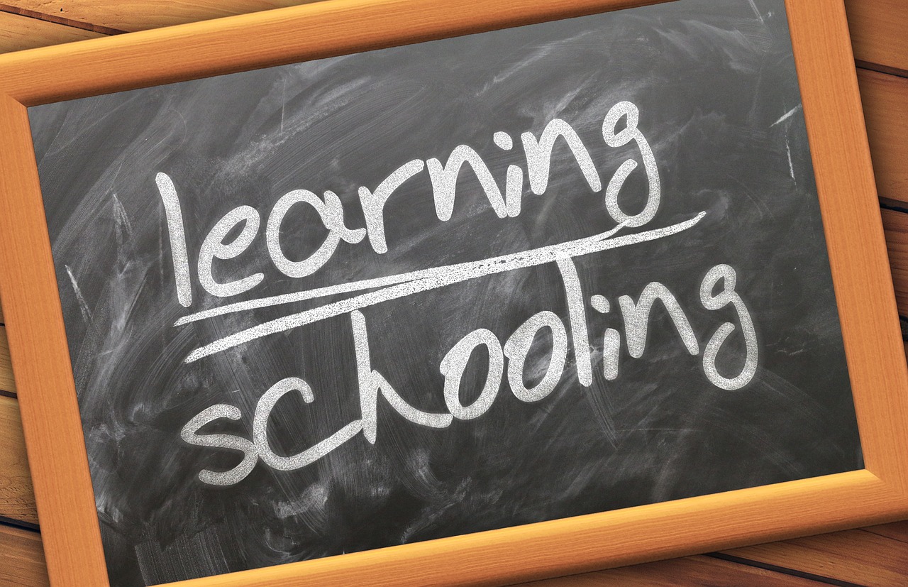 Virtual Schools: A Complete Guide 2 Virtual Schools: A Complete Guide
