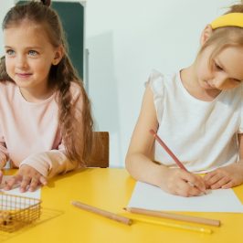 The Upsides of Private Instructors for Self-teaching: A Way to Customised Schooling 1 The Upsides of Private Instructors for Self-teaching: A Way to Customised Schooling