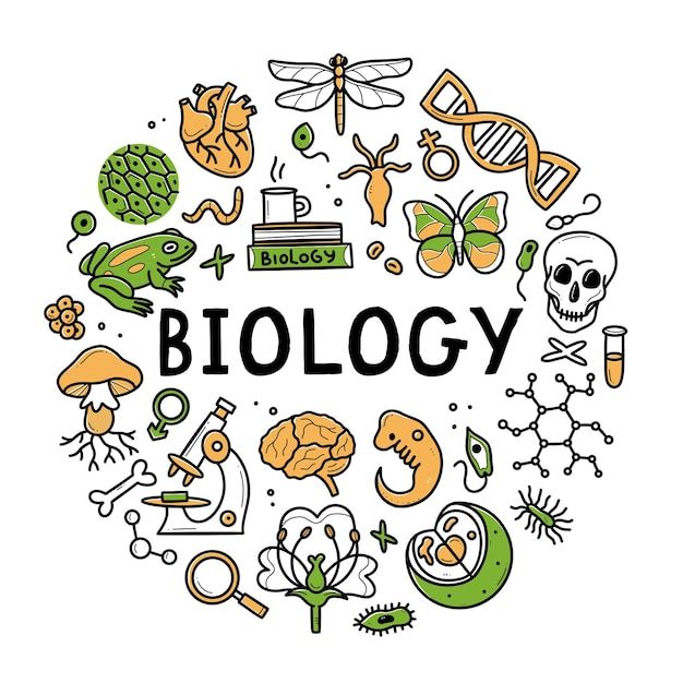 A Level Biology Exam 1 A Level Biology Exam