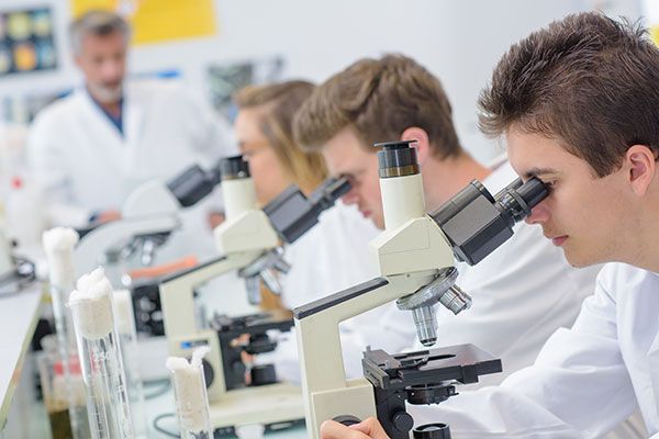 Why Choose an Online Biology A Level? A Flexible Pathway to Scientific Success 1 Why Choose an Online Biology A Level? A Flexible Pathway to Scientific Success