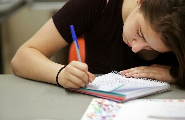 A Level Politics Revision 1 At Home High School Diploma Programs