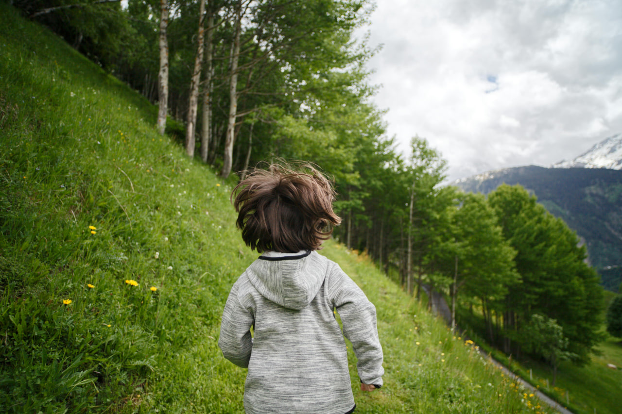 Free Activities For Homeschoolers 7 Free Activities For Homeschoolers