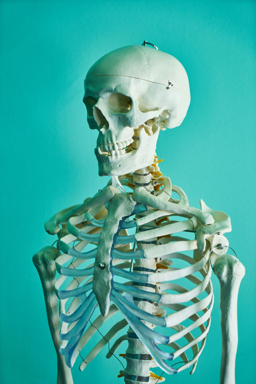 Head Start To A Level Biology 1 photo 2025 07 07 15 31 45