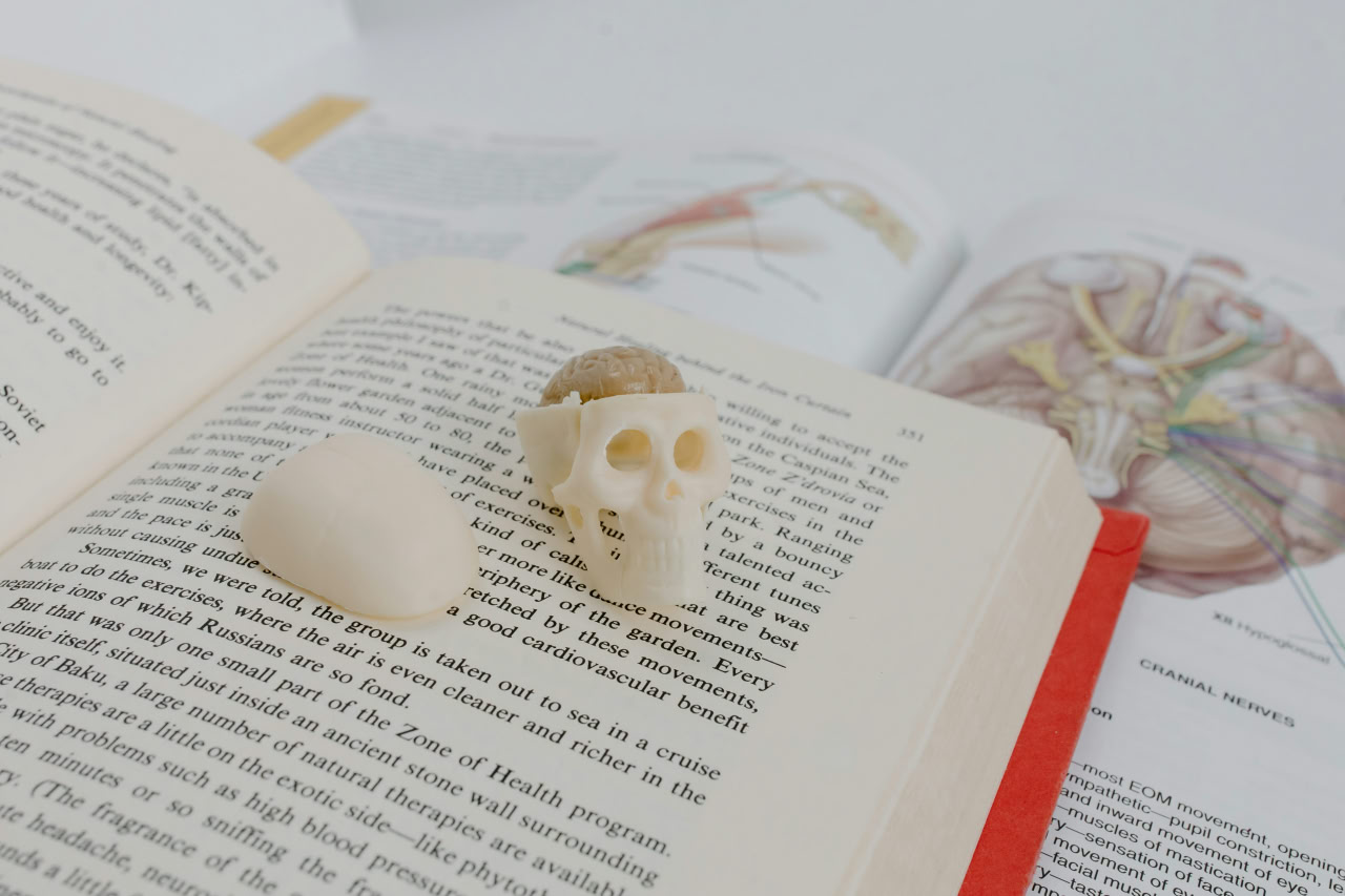 Online GCSE Biology 1 photo 2025 08 30 14 39 32